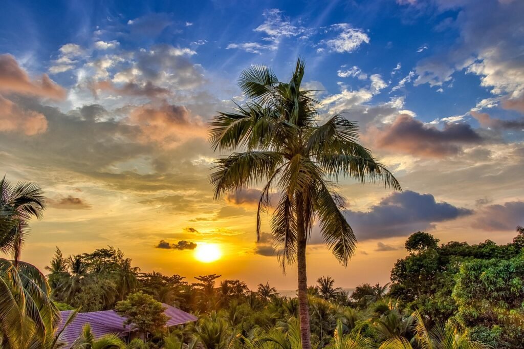 vietnam, west, sky, landscape, sea, travel, nature, clouds, in the morning, blue, blue sky, summer, in the evening, east, sunrise, tropical, color, asia, peace of mind, quiet, holiday, palma, view, paradise