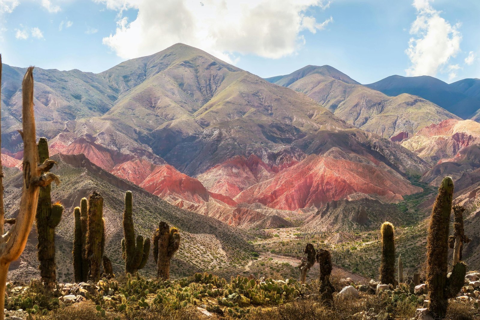 A scenic view of colorful mountains and cacti in a desert landscape.